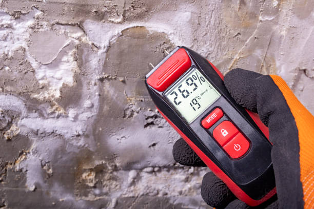 Home Mold Removal in Groveville, NJ