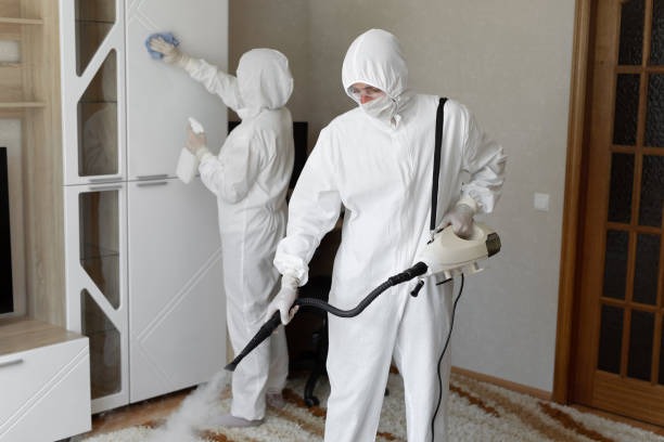 Best Toxic Mold Removal  in Groveville, NJ
