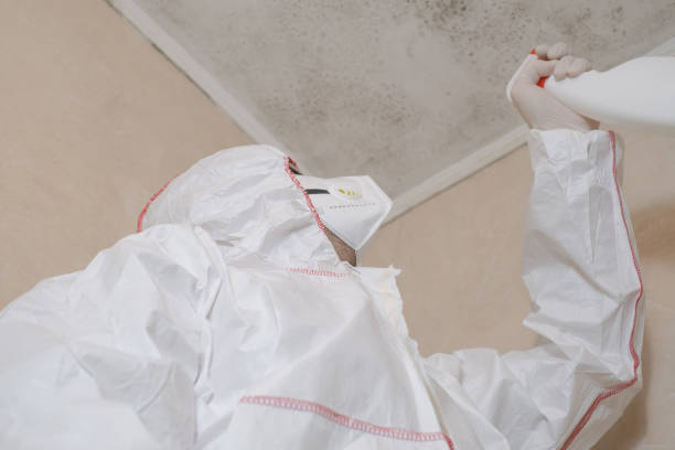 Best Mold Removal and Inspection  in Groveville, NJ