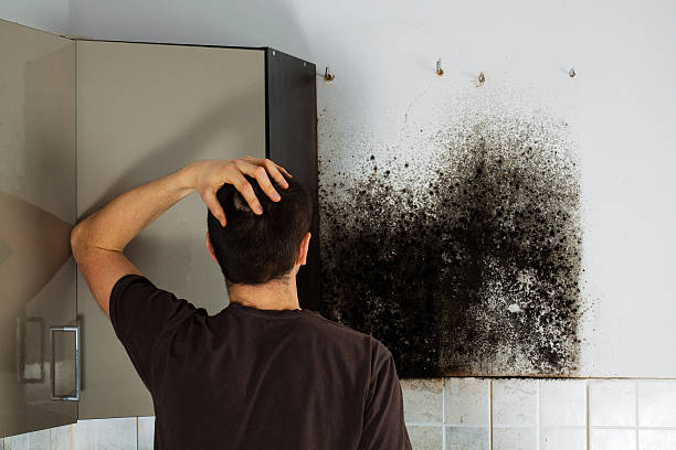 Best Water Damage Restoration  in Groveville, NJ